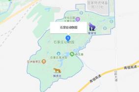 石家庄动物园地址在哪里 怎么坐公交车前往
