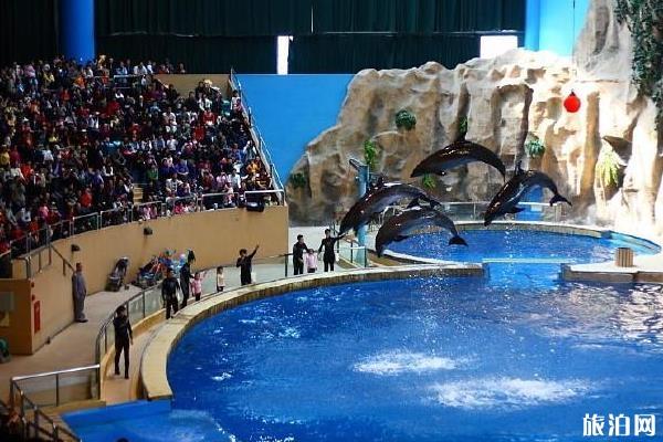 2020石家庄动物园海洋馆门票多少钱-优惠政策