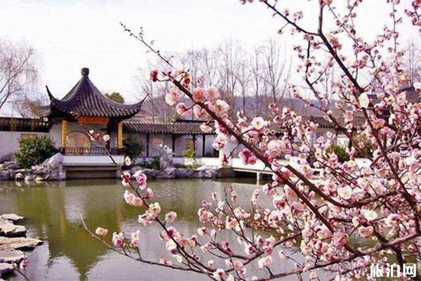 杭州超山梅花什么时候开 附2020梅花节活动时间安排