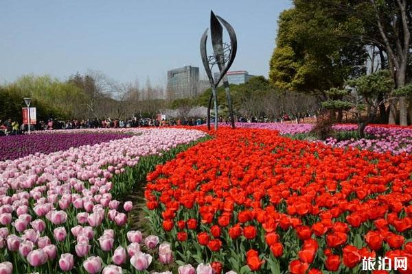 2020春节北京花展有哪些 时间-地点-门票