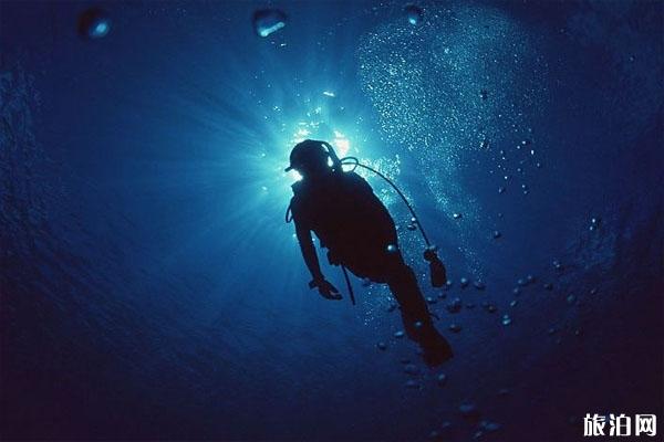 海鳗攻击人吗 潜水遇见海鳗怎么办