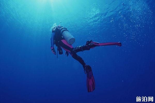 海底有毒的生物 潜水时要避免接触哪些生物