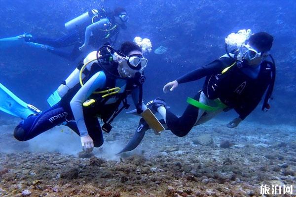 海底有毒的生物 潛水時(shí)要避免接觸哪些生物