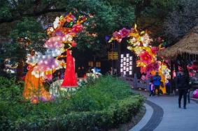 南京春节有什么好玩的地方 附2020春节活动内容