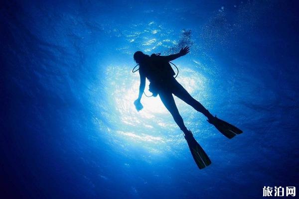 潜水会遇到什么危险 下海潜水注意事项有哪些