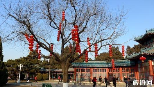 2020春节期间北京有哪些公园值得前往