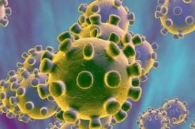 普通感冒跟新型冠状病毒有什么区别