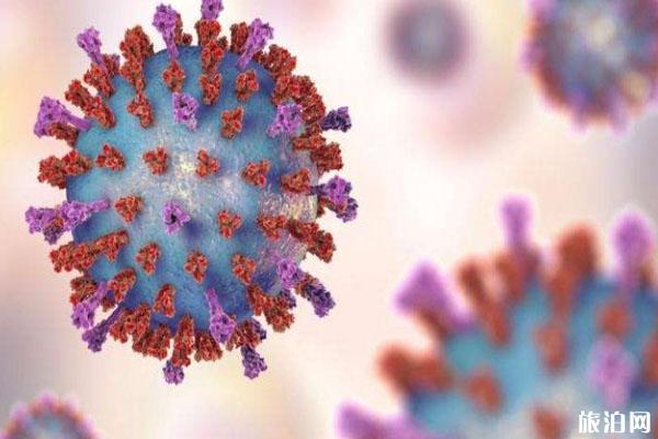 新型冠状病毒来源是什么