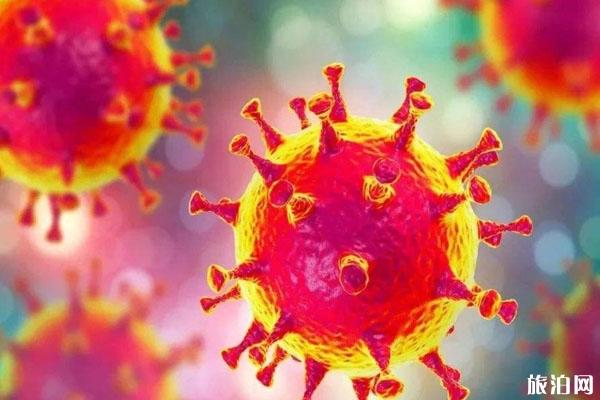 新型冠状病毒传播途径 可通过接触传染