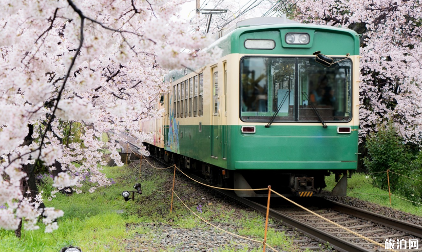 3月份去日本有樱花看吗 日本樱花观赏月份和地点推荐