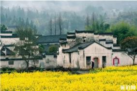 春季去哪里赏花 春季赏花景点推荐
