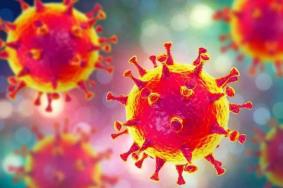 新型冠状病毒在空气中存活时间 新型冠状病毒会传染给狗么