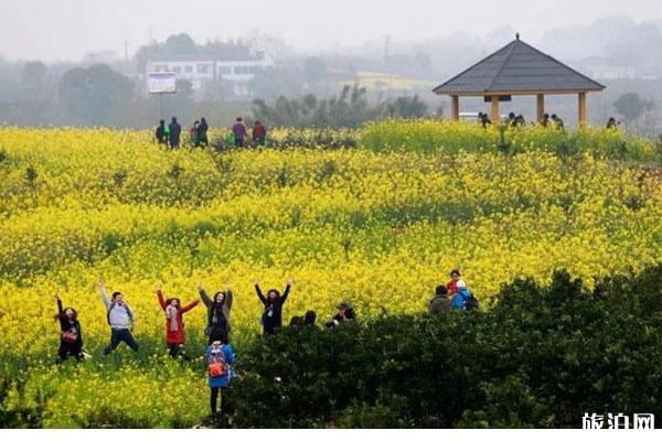 四川春季赏花好去处推荐