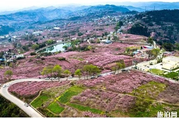 四川春季赏花好去处推荐