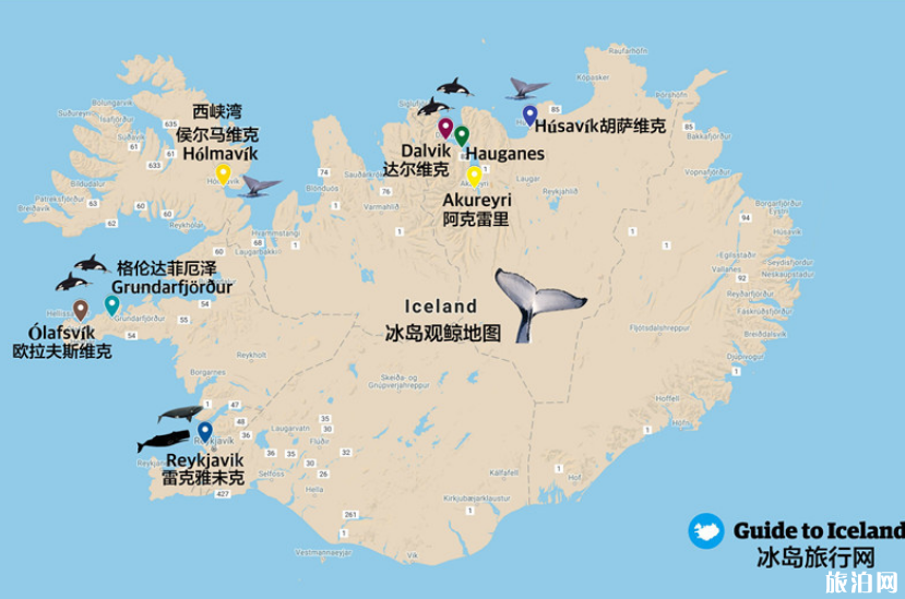 冰岛胡萨维克观鲸指南 冰岛观鲸鱼最好的地方