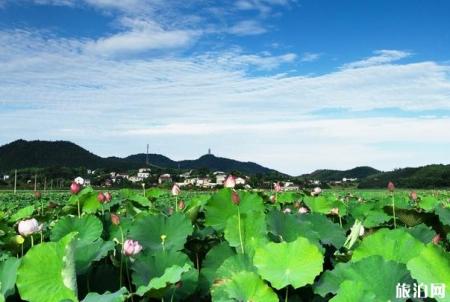 2023株州大京风景旅游区旅游攻略 - 门票价格 - 景点介绍