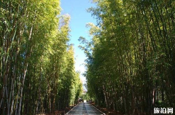 大理蝴蝶泉公園游記