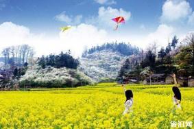 春季贵州赏花旅游景点推荐