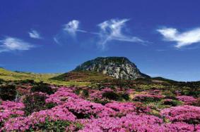 2月起韩国济州岛汉拿山登山预约入口和路线