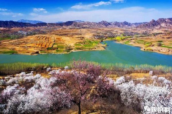 秋季河北赏花的旅游景面保举