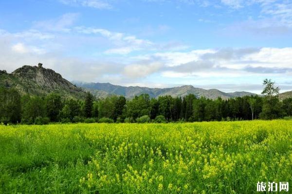 富蕴县对全国医护人员免费开放所有A级景区及滑雪场