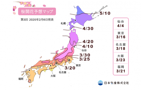 日本樱花预测网站有哪些 2020日本樱花花期
