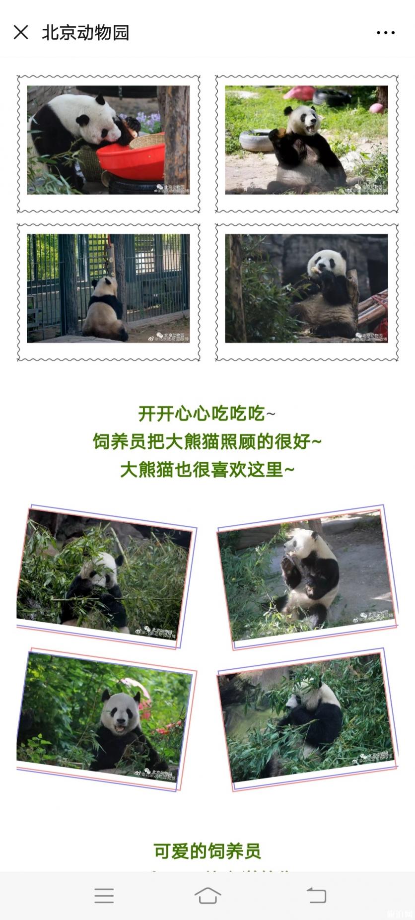 2020年北京動物園什么時候重新開放