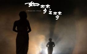 2020上剧场演出取消及退票指南 《如梦之梦》暂停演出