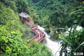 2020广西古龙山大峡谷景区向全国医护人员免票