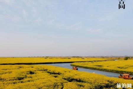 高邮湖芦苇荡湿地公园什么季节最美 游玩攻略