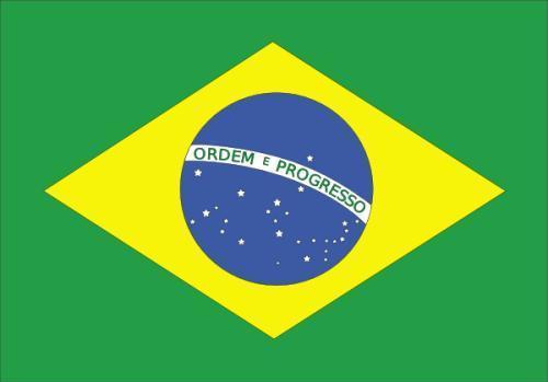 2020年巴西旅游签证所需材料及办理攻略