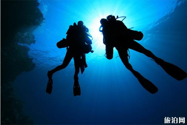 潜水的高危因素有哪些和不适合潜水的因素有哪些