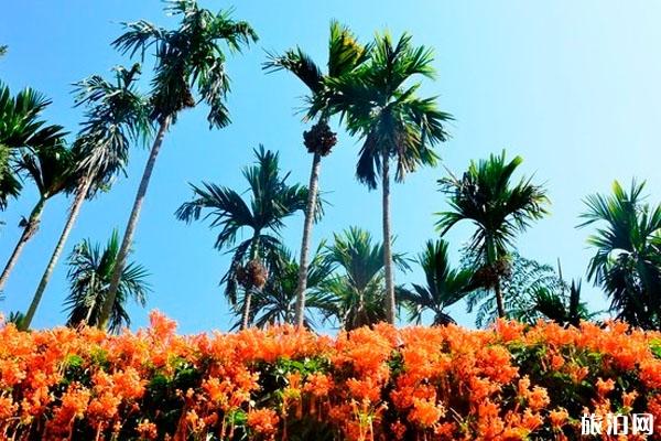 西双版纳热带花卉园对全体医护人员免费开放