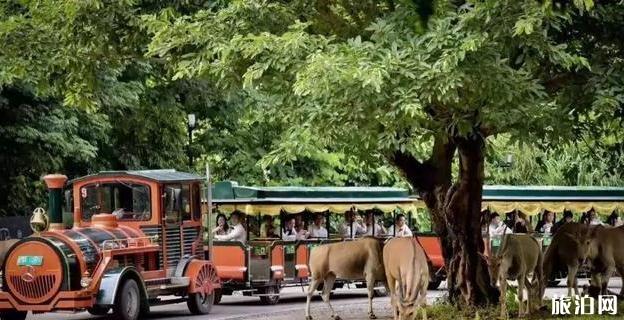 2020年長隆野生動物世界旅游攻略