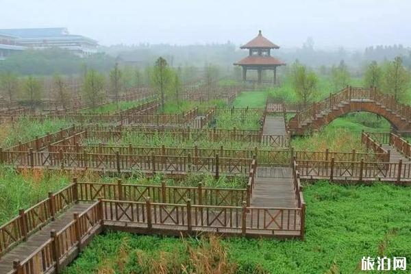 廈門哪個公園比較好玩