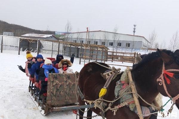 2022亚布力冰雪欢乐谷旅游攻略 - 门票价格