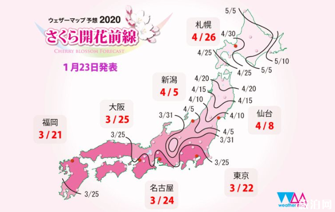 2020日本櫻花什么時候開得最好 日本櫻花觀賞地點 2020日本櫻花什么時候開得最好 日本櫻花觀賞地點