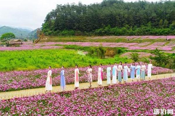 大田全国医护人员免费旅游时间和景区有哪些