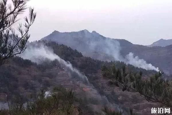 2020甘肃森林火灾最新消息 旅游遇到火灾怎么办
