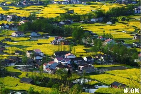 江南荷田风景区门票多少 怎么去