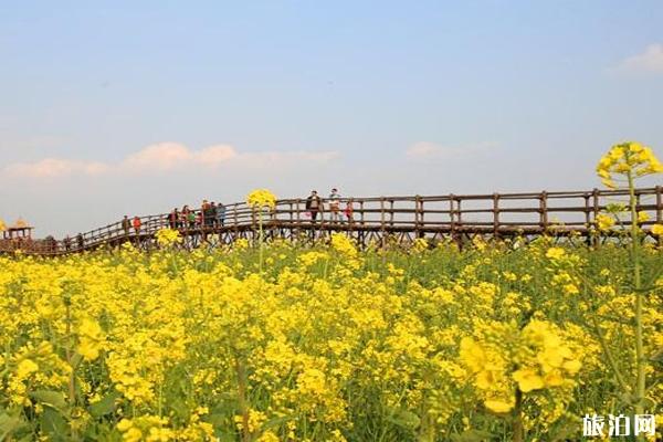 江南荷田風(fēng)景區(qū)門(mén)票多少 怎么去