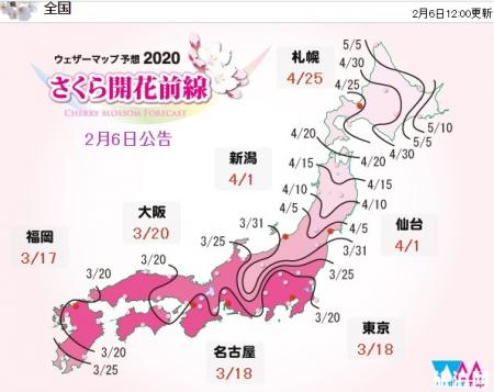 日本樱花绽放时间表 在哪里可以查询到