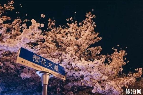 2022武汉大学樱花直播 花期时间及最佳观赏点