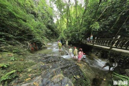 桂林古东瀑布景区旅游攻略-门票价格-景点信息