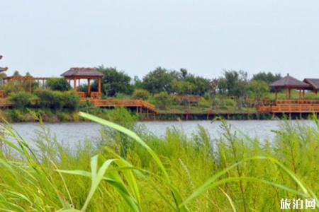 2022哈尔滨金河湾湿地植物园旅游攻略 - 门票价格
