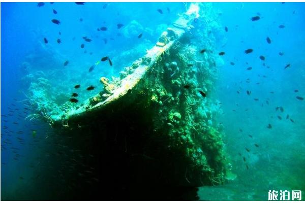 沉船潜水被困住怎么办 有哪些危险