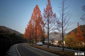 杭州登山徒步经典路线推荐