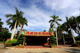 海南兴隆热带植物园开放了吗 2020兴隆热带植物园开放时间