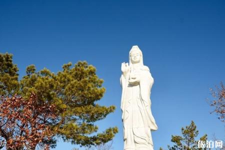 2022钟灵禅寺旅游攻略
