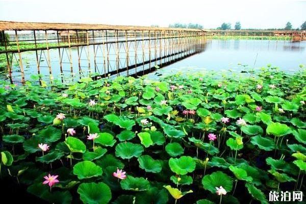 洪湖市景区有哪些 洪湖市旅游景点